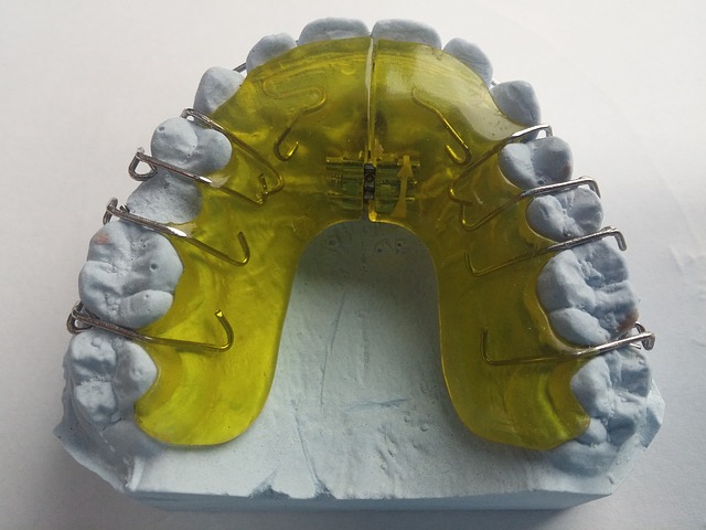 aparato dental
